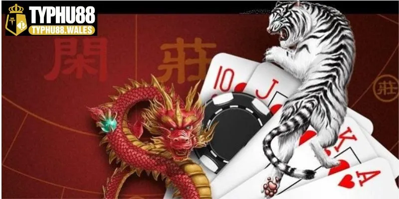 Bí quyết chơi Dragon Tiger từ cao thủ Typhu 88