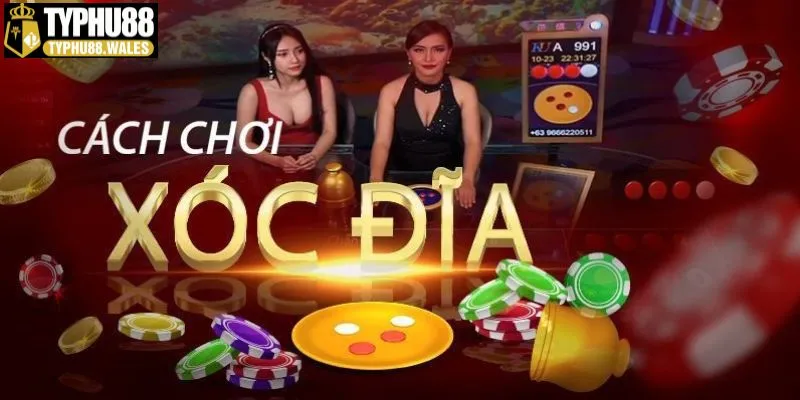 Chơi xóc đĩa tại cổng game Typhu88 thú vị